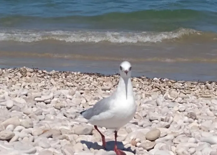 Luxury - Via Sulmona 17 Guest house Pescara